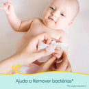 Kit com 12 Pacotes de Lenços Umedecidos Pampers Higiene Completa de 48 Unidades