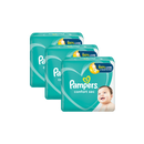 Kit com 3 Pacotes de Fraldas Pampers Confort Sec