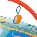 Tapete Ginásio Discovery