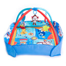 Tapete Ginásio Discovery